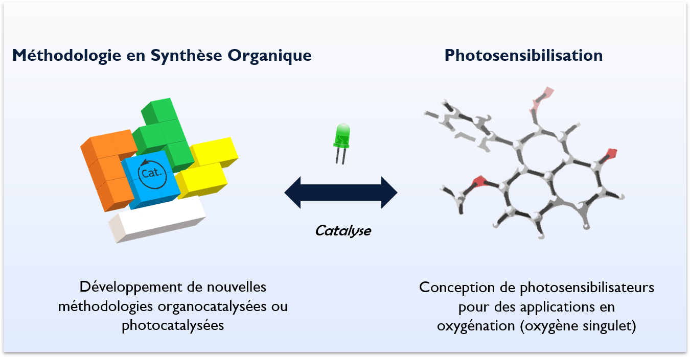 Activités de recherche