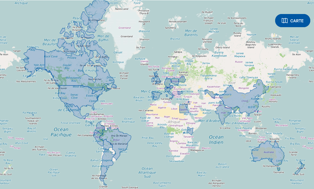 Carte Assistant de français FEI