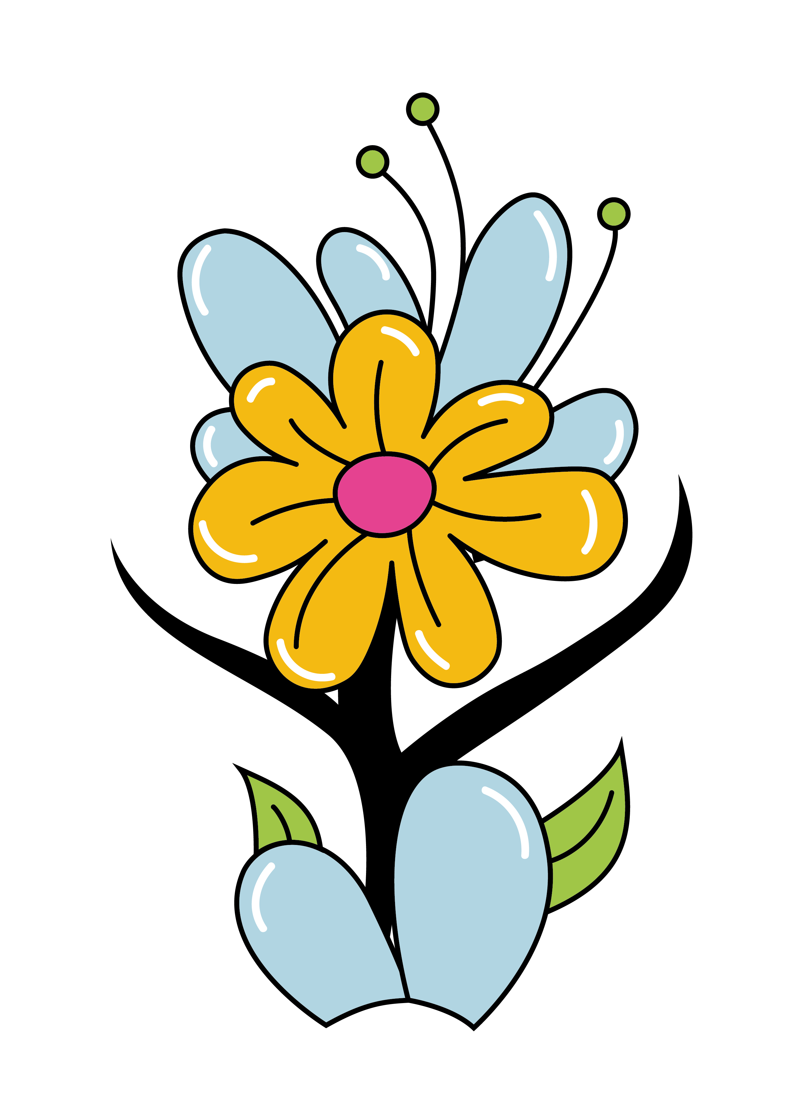 illustration fleurs