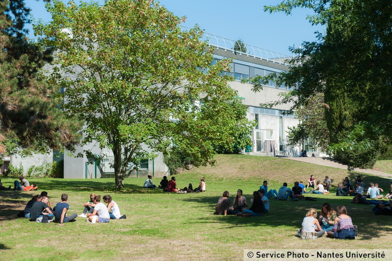 Première édition du Café des Sciences de la Transition Ecologique