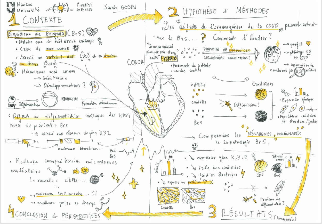 Sketchnote 2