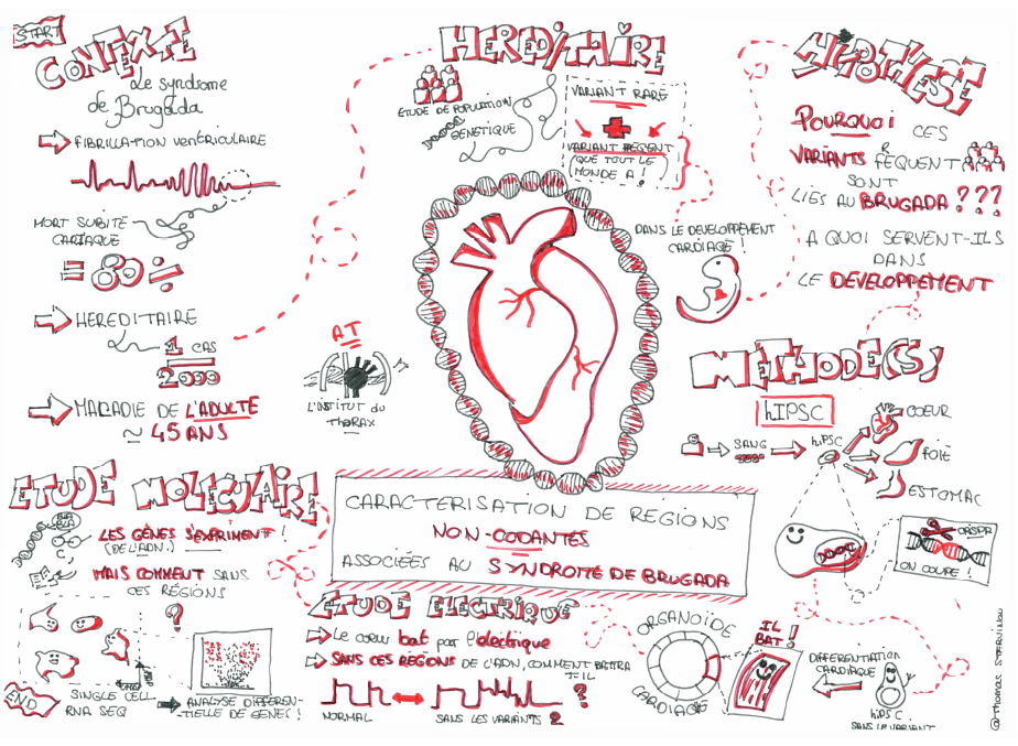 Sketchnote Thomas Stervinou