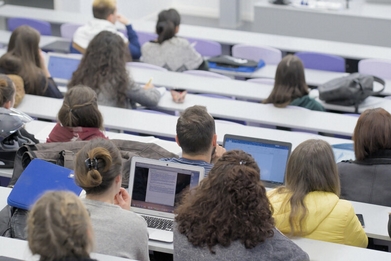 Les stages 2024 de nos étudiants